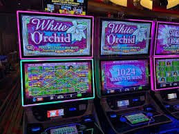 a2270 Bingo